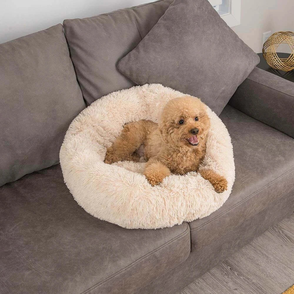 Zaspera Calming Bed 2.0