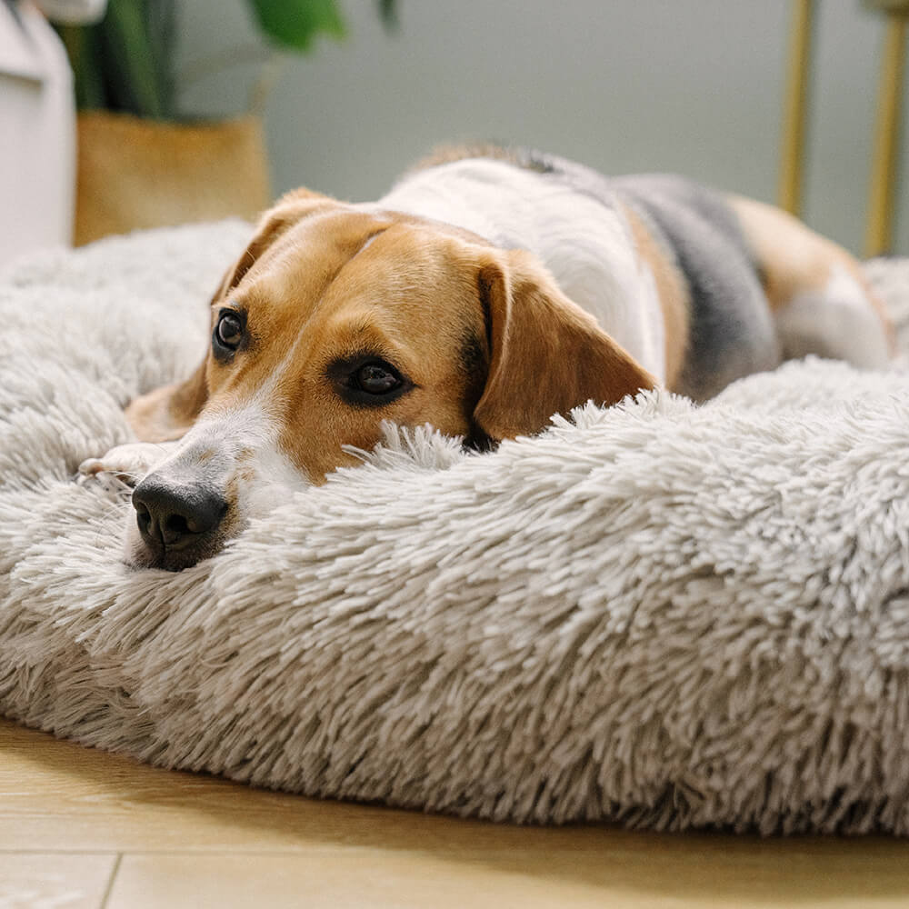Fuzzy Round Fluffy Dog/Cat Bed